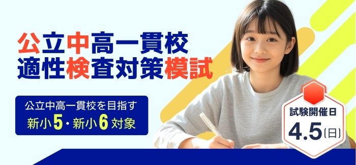 公中検模試